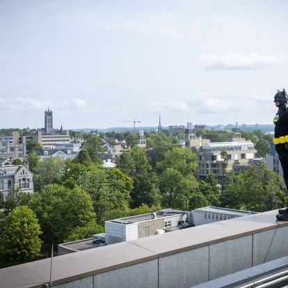 batman looks over Kingston, ON
