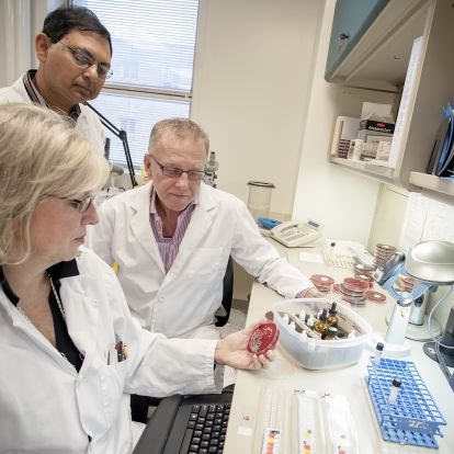 Clinical Laboratory Service at KGH