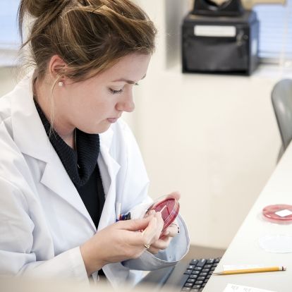 One of the many Medical Lab Technologists at KGH reviews samples in the microbiology laboratory at Kingston General Hospital.