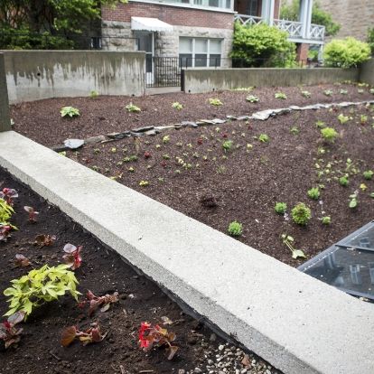 The familiar view out of the Atrium cafeteria is much greener and cleaner, with new plants and landscaping.
