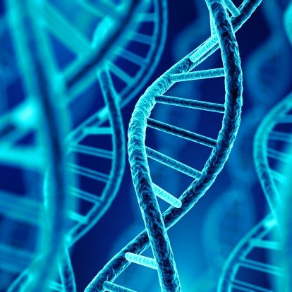 Genetics Patient and Family Day will be held on October 14