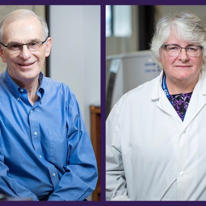 Dr. Paul Manley and Suzanne Torgerson are among 135 people to receive long-service awards