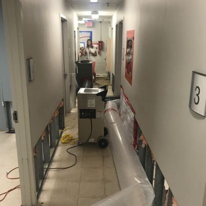 Infection Control staff monitoring humidity levels