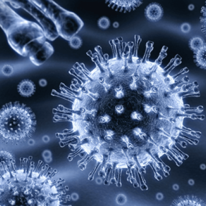 Influenza virus