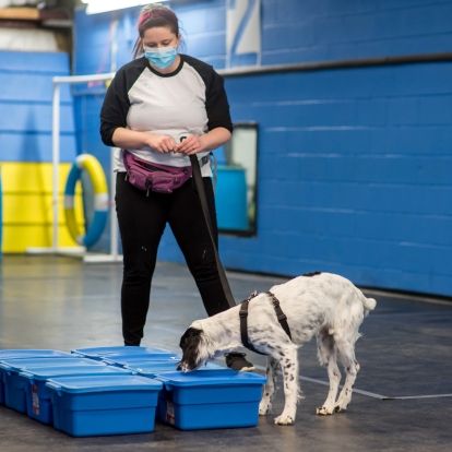 image of Infection Control Practitioner with dog