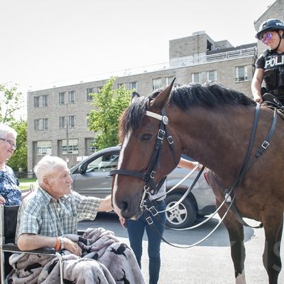 A Kingston Police Horse visits a patient at our KGH site