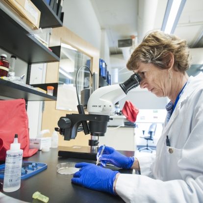 Follow along on Twitter for a behind-the-scenes look at some of the research happening at KGH