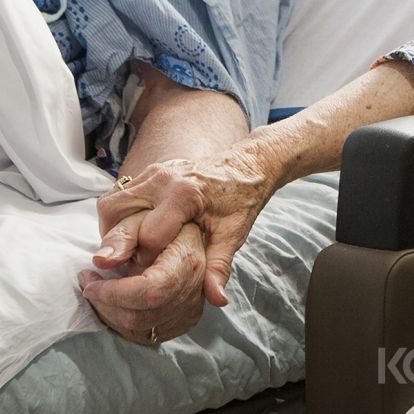 The new team will look at improving access to palliative care services.