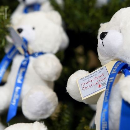 Teddy bears hang on the Christmas Tree in the Watkins Lobby