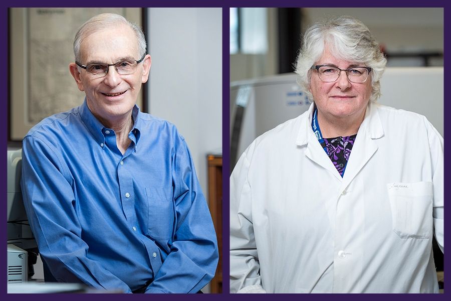 Dr. Paul Manley and Suzanne Torgerson are among 135 people to receive long-service awards