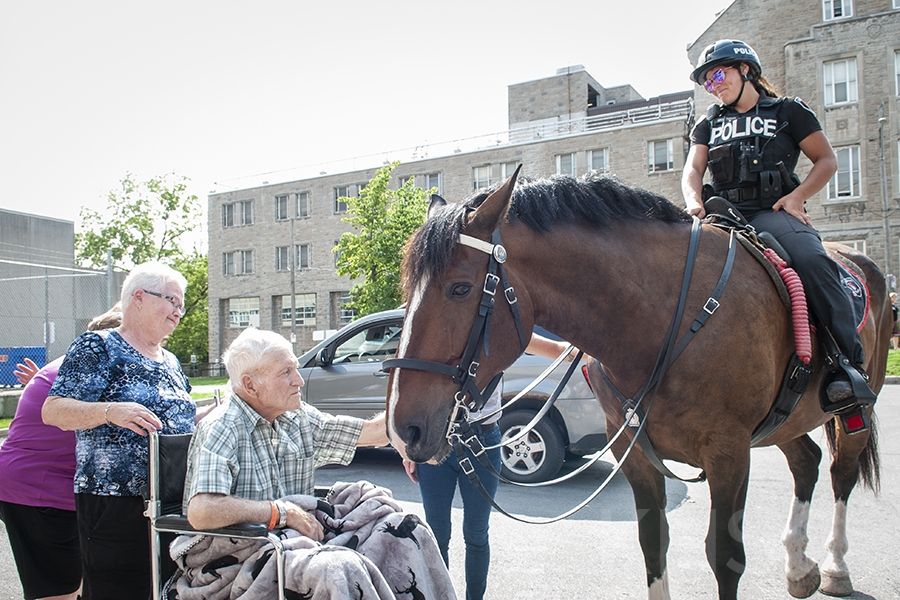 A Kingston Police Horse visits a patient at our KGH site