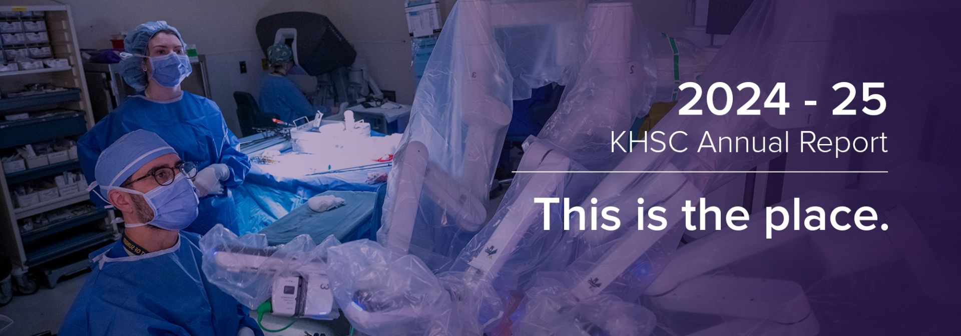 Annual Report 2024-25 banner image