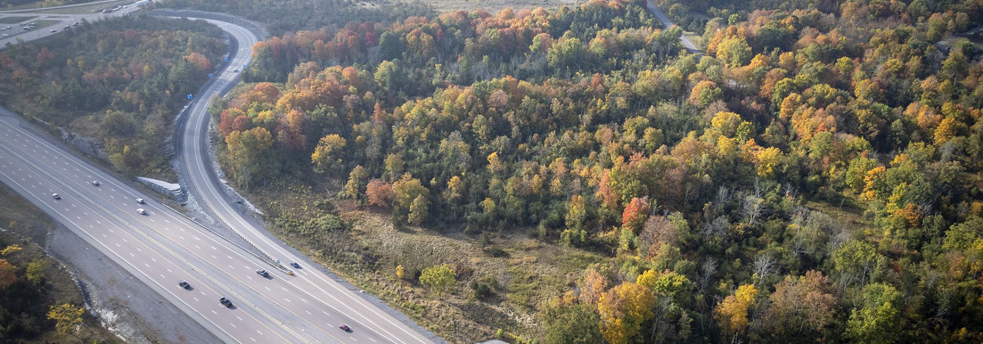 aerial view of forested area near 401