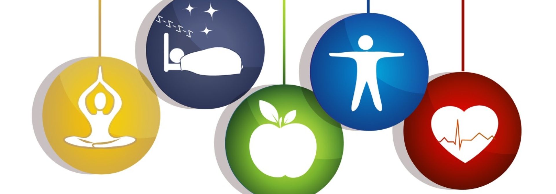 Physical Wellness