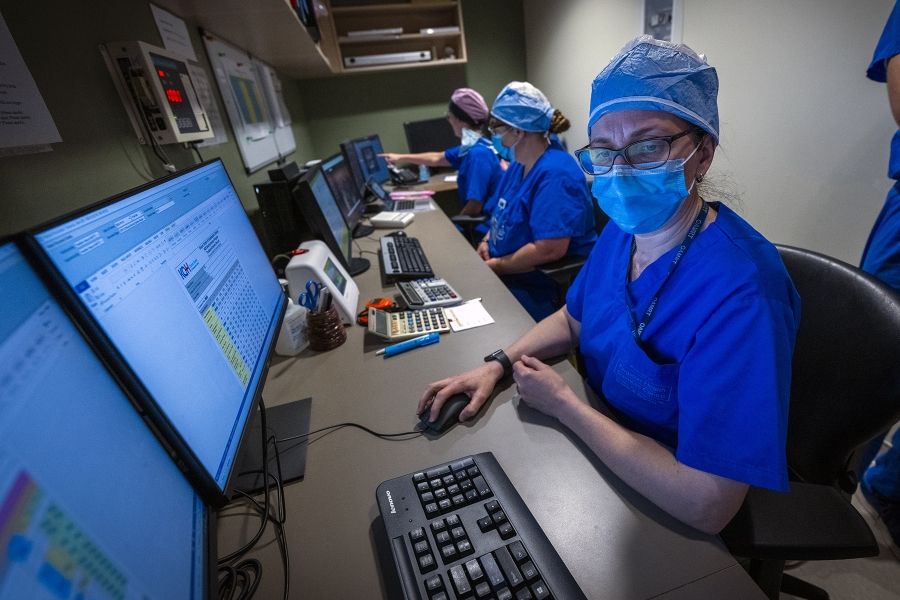 staff looking at computer screens