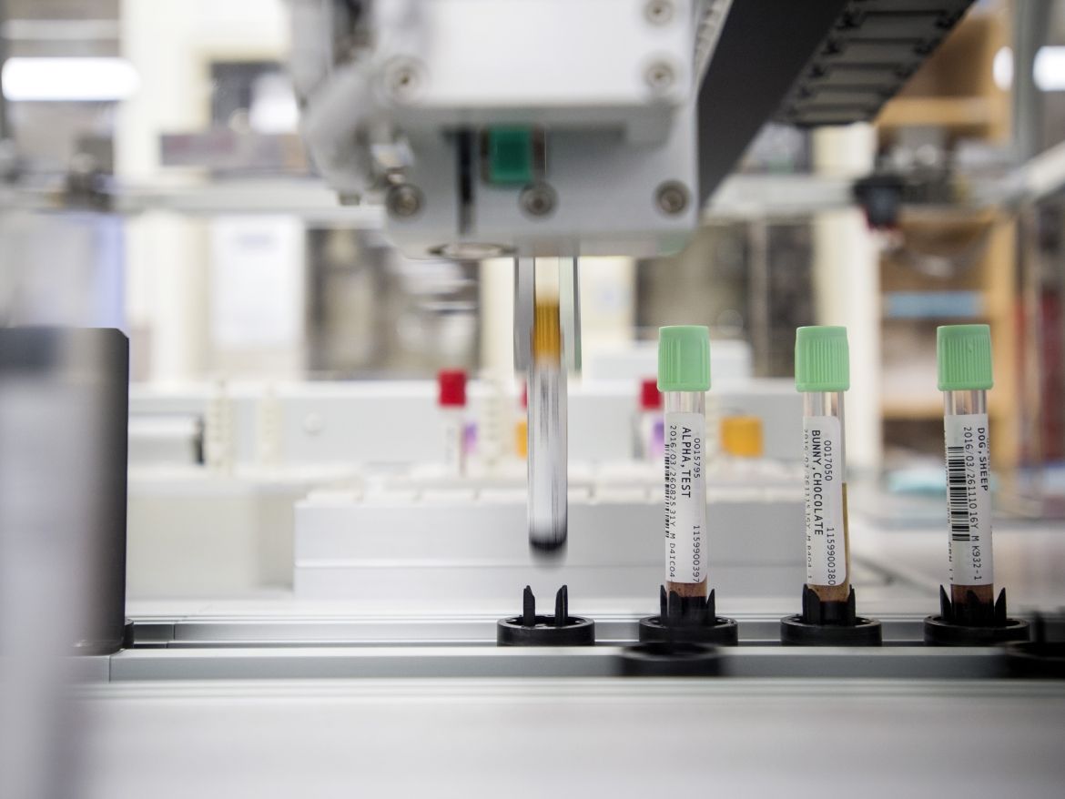 I view of test tubes in the KHSC laboratory.