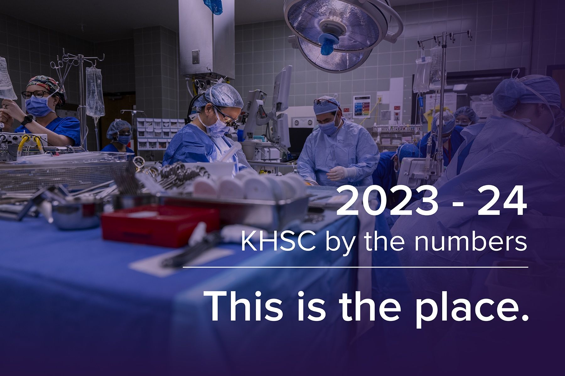 Social and web cover image_MM6_2983 (002) KHSC By the Numbers graphic
